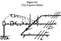 Structure of Drip Irrigation Method