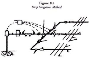 Structure of Drip Irrigation Method