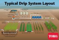 Typical Drip Irrigation System Layout