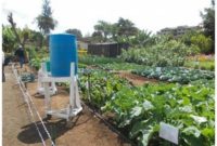 gravity drip irrigation system