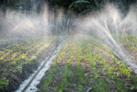 Advantages of Micro Irrigation System