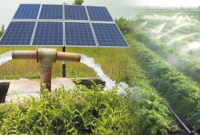 Solar Powered Irrigation System