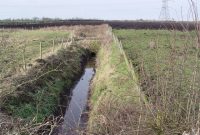 drainage systems in agriculture